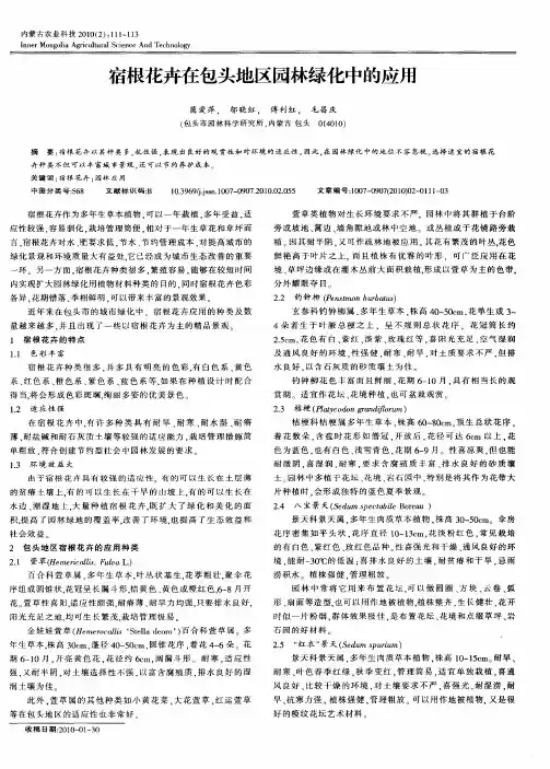 宿根花卉在包头地区园林绿化中的应用