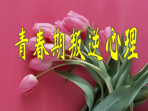 中学《青春期叛逆心理》主题班会