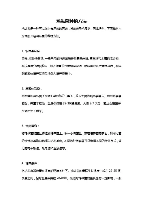 鸡纵菌种植方法