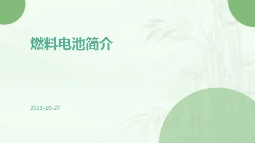 燃料电池简介ppt课件