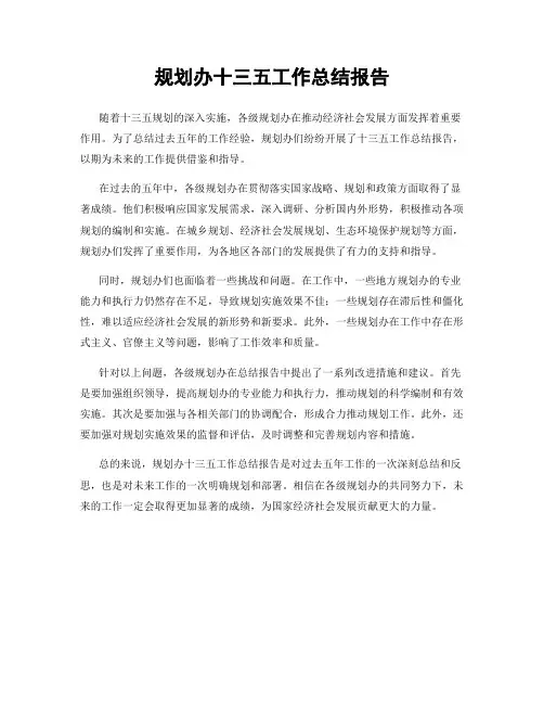 规划办十三五工作总结报告