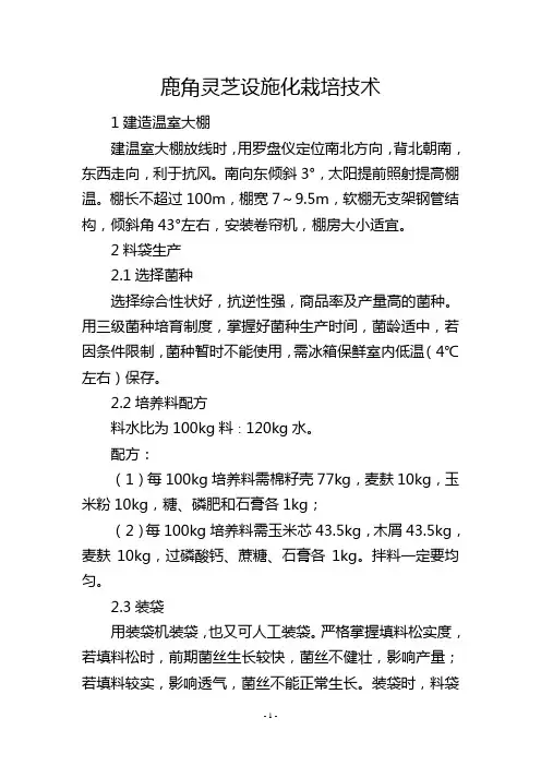 鹿角灵芝设施化栽培技术