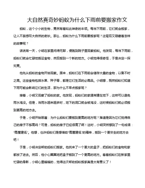 大自然真奇妙蚂蚁为什么下雨前要搬家作文