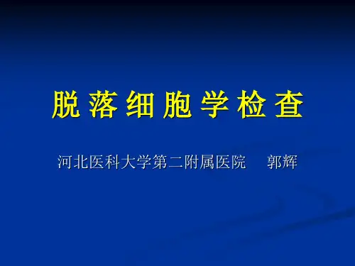 脱落细胞学检查-PPT精选文档