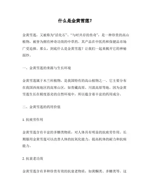 什么是金黄雪莲？