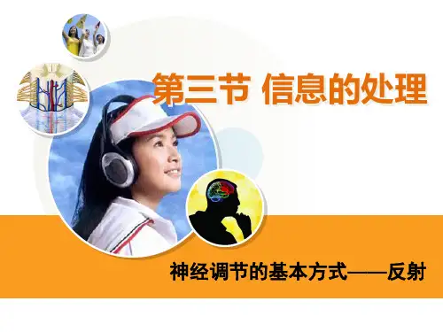 432条件反射课件河北省南宫市奋飞中学冀少版生物七年级下册(共21张PPT)