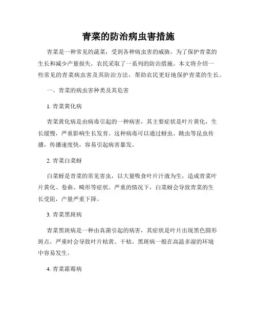 青菜的防治病虫害措施
