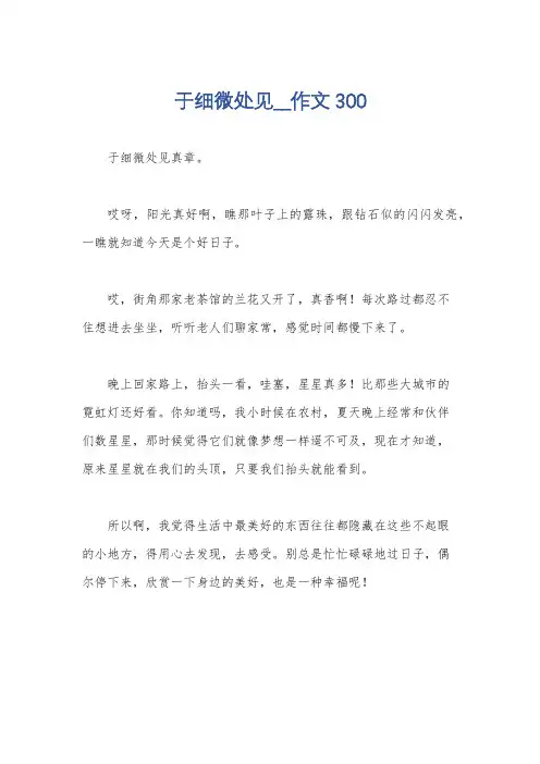 于细微处见__作文300