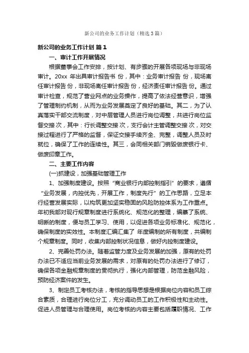 新公司的业务工作计划（精选3篇）