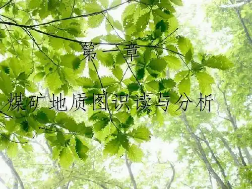 煤矿地质图识读与分析