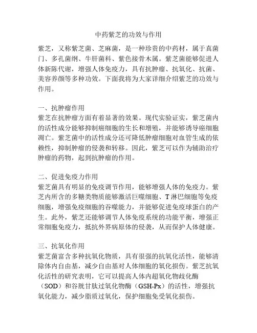 中药紫芝的功效与作用