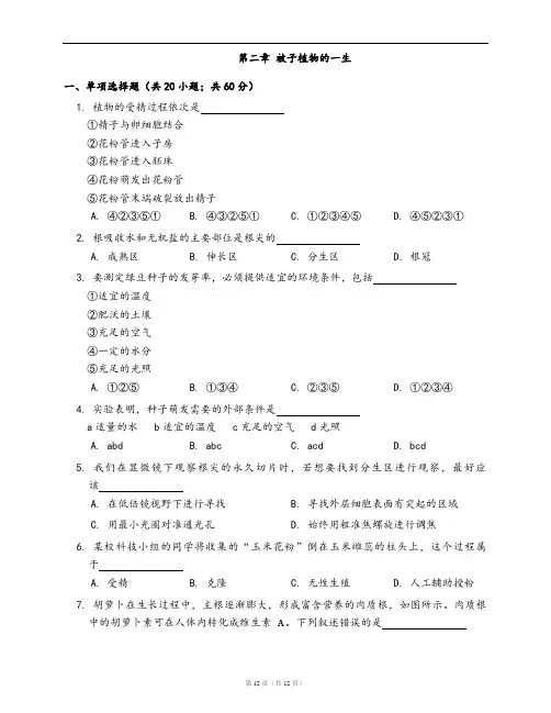 人教版生物七年级上册单元检测卷附答案第三单元第二章 被子植物的一生