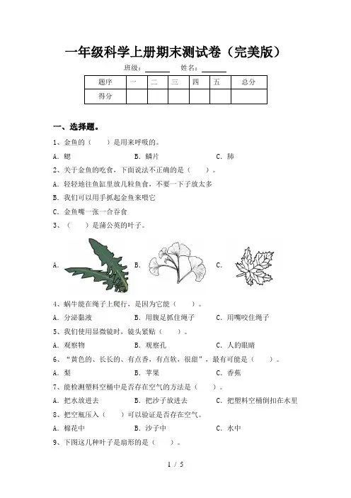一年级科学上册期末测试卷(完美版)