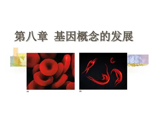 基因概念的发展