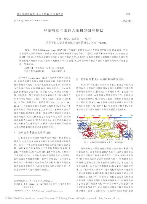 登革病毒E蛋白入胞机制研究现状