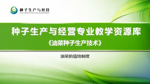 油菜的栽培制度.ppt