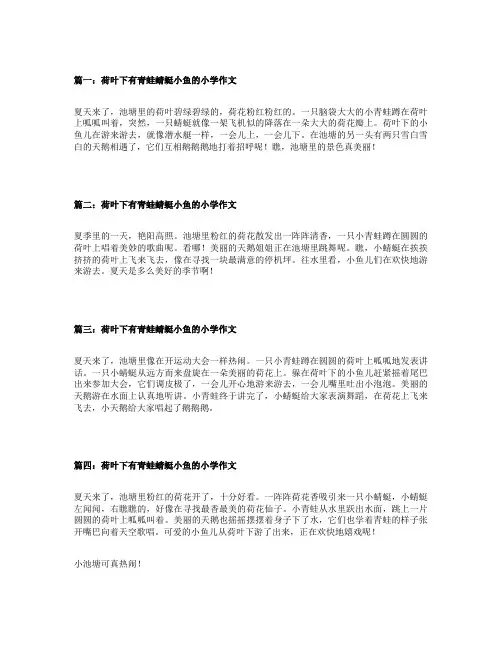 荷叶下有青蛙蜻蜓小鱼的小学作文