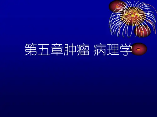 第五章肿瘤 病理学