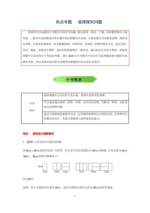 规律探究问题(解析版)