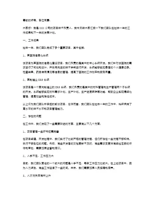 项目技术负责人述职报告