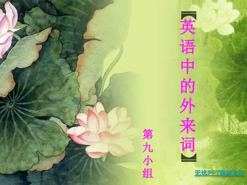 英语中的外来词解读