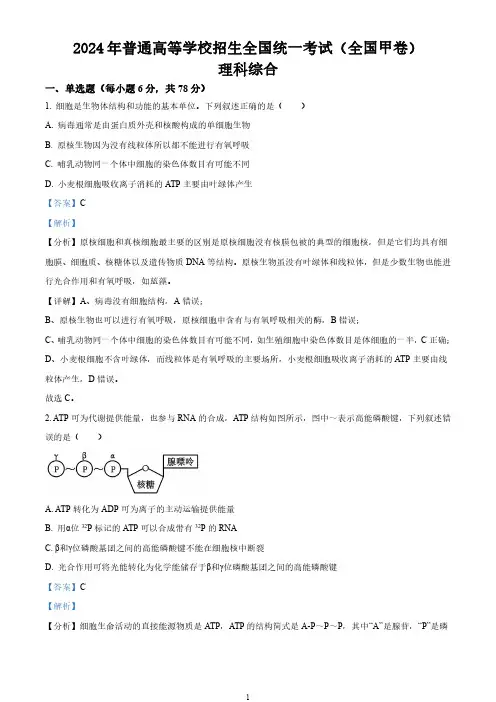 精品解析：2024年全国甲卷理综高考试题试卷(解析版)