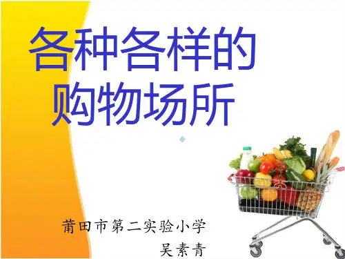 各种各样的购物场所ppt课件小学品德与社会北师大版三年级下册_1