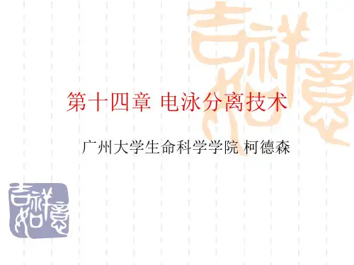 第十四章 电泳分离技术