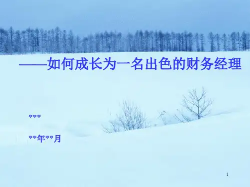 如何成长为一名出色的财务经理(PPT 128页).ppt