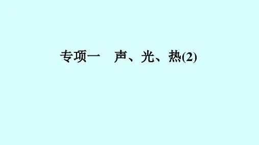 中考物理专项复习一声光热(2)