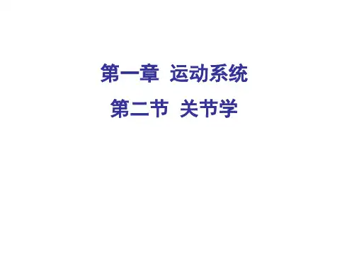 脊柱整体观及运动--课件
