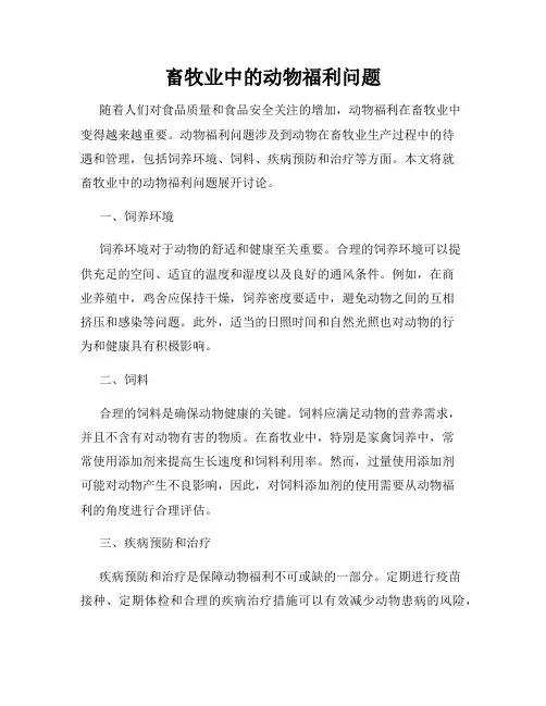 畜牧业中的动物福利问题