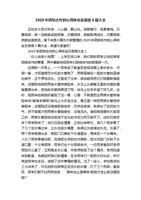 2020年团结合作的心得体会及感悟5篇大全