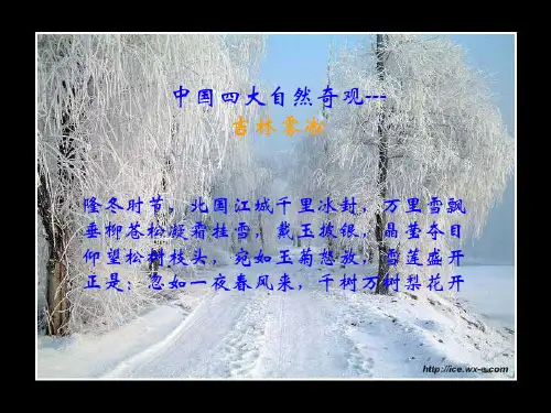 中国四大自然奇观---吉林雾凇
