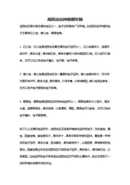 湘西适应种植哪些柚