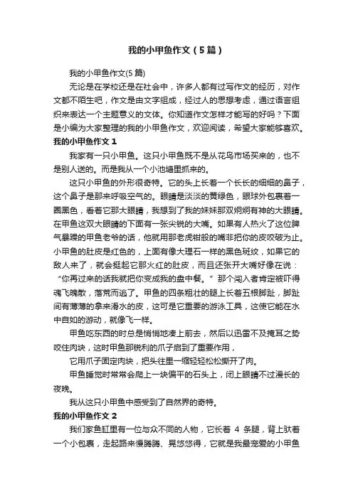 我的小甲鱼作文（5篇）