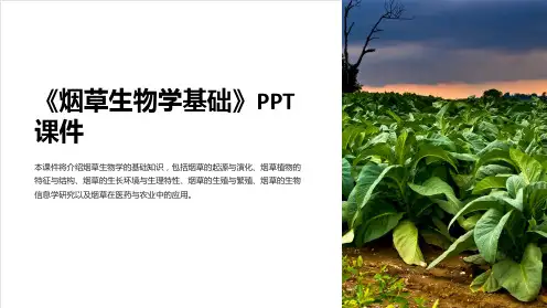 《烟草生物学基础》课件