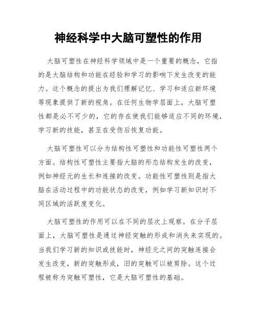 神经科学中大脑可塑性的作用