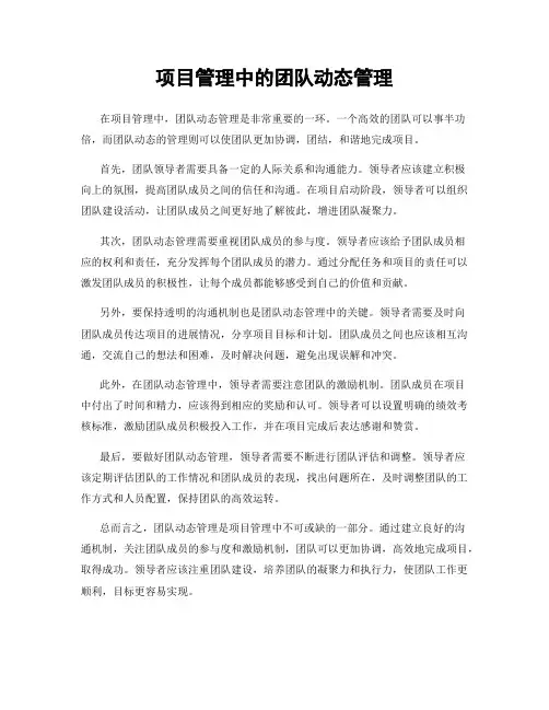 项目管理中的团队动态管理