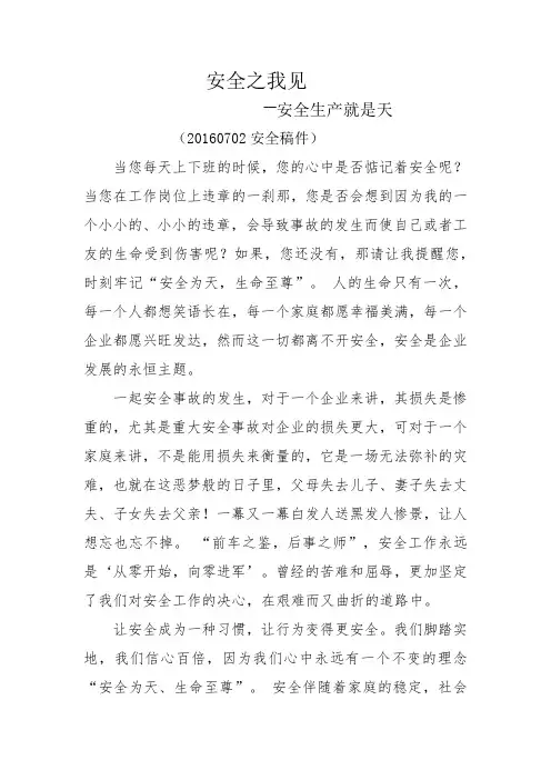 安全之我见