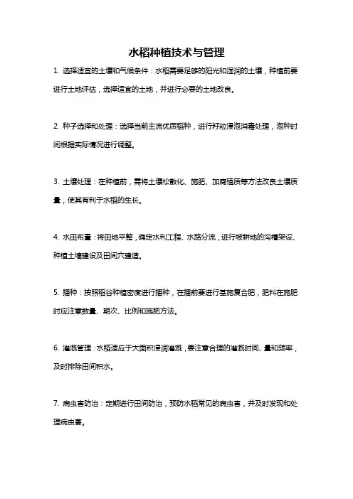 水稻种植技术与管理