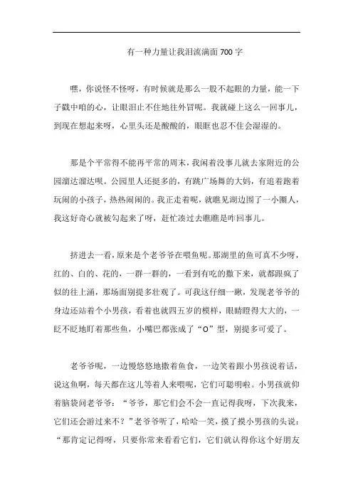 有一种力量让我泪流满面700字