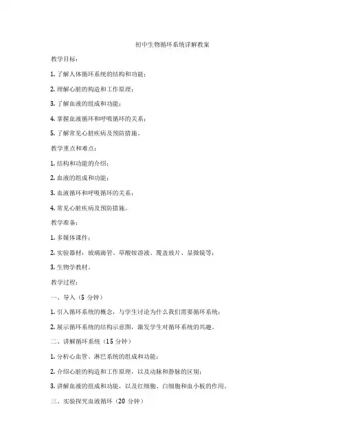 初中生物循环系统详解教案