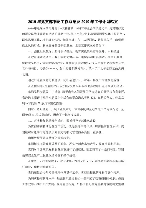 最新-2019年党支部书记工作总结及2019年工作计划范文 精品