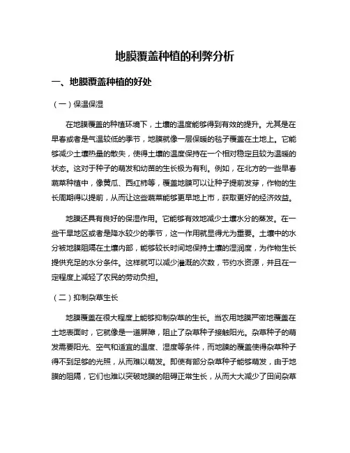 地膜覆盖种植的利弊分析