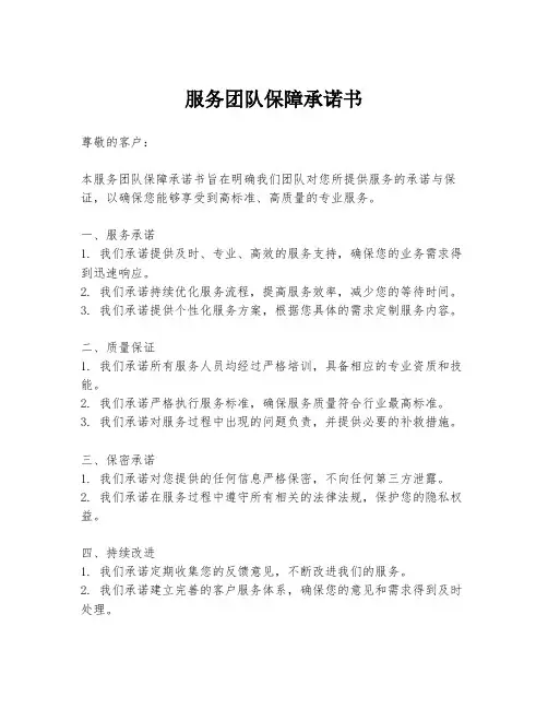 服务团队保障承诺书
