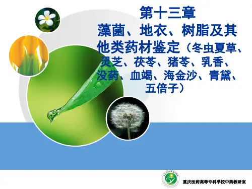 藻菌、地衣、树脂及其他类药材鉴定(冬虫夏草、灵芝、茯苓、猪苓(精)