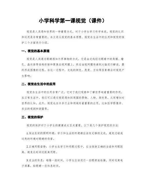 小学科学第一课视觉(课件)