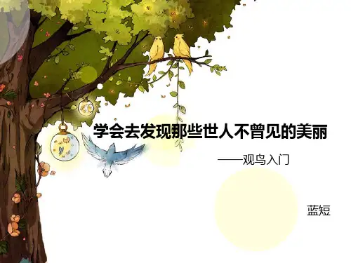 观鸟入门