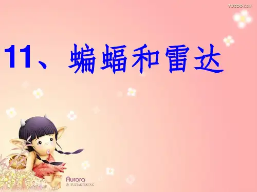人教版四年级下册《蝙蝠和雷达》优质课完整ppt课件
